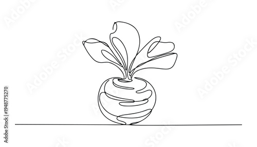 One continuous line illustration of an Radishes vegetable , isolated on white background.