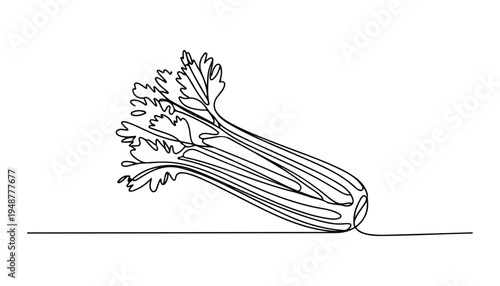 One continuous line illustration of an Celery vegetable , isolated on white background.