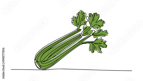 One continuous line illustration of an Celery vegetable , isolated on white background.