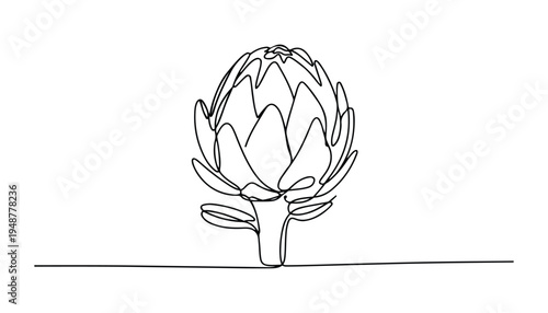 One continuous line illustration of an Artichoke vegetable , isolated on white background.