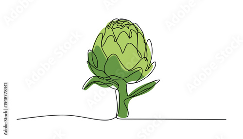 One continuous line illustration of an Artichoke vegetable , isolated on white background.