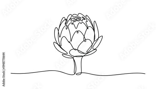 One continuous line illustration of an Artichoke vegetable , isolated on white background.