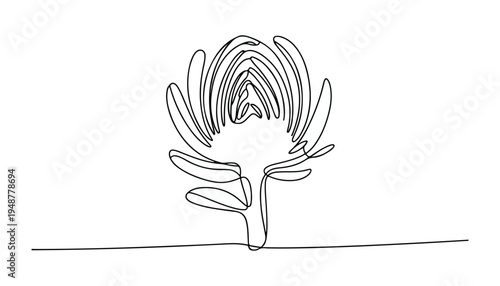 One continuous line illustration of an Artichoke vegetable , isolated on white background.