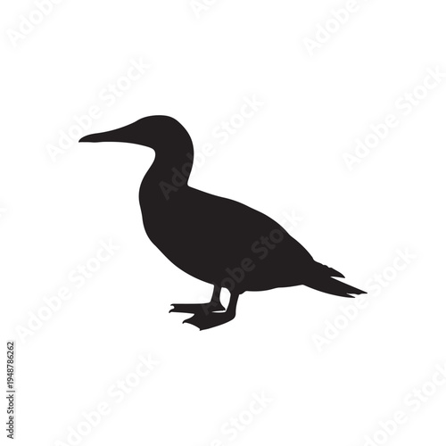 Footed booby silhouette vector flat illustration design. on white background