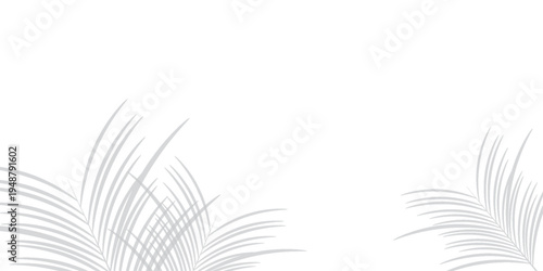 Shadow effects with tropical palm leaves in the corner. Flat lay background with tropical leaf shadow. Applicable for mockup, template background.