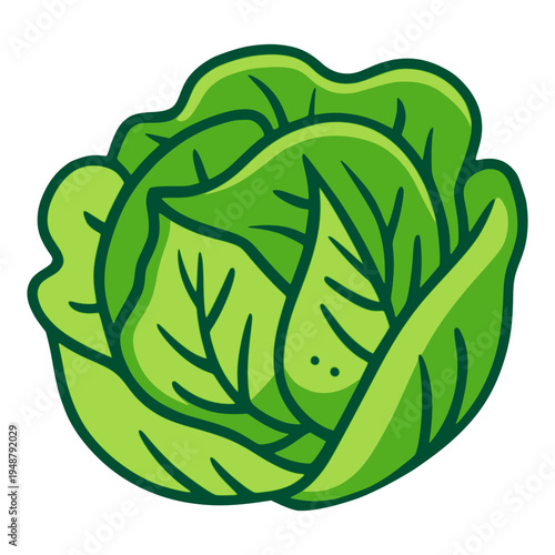 cartoon fresh lettuce nature healthy food flat color vector illustration template design