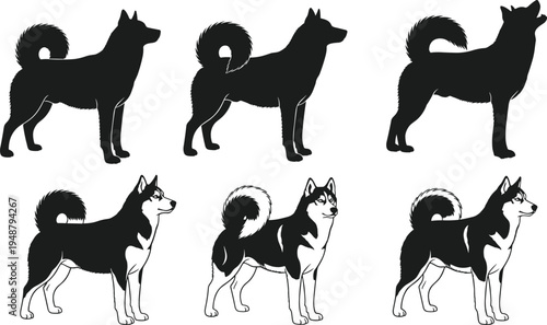 Siberian Husky and Alaskan Malamute Dog Vector Set Featuring Solid Silhouettes and Detailed Line Art Illustrations for Pet Branding Logo Designs