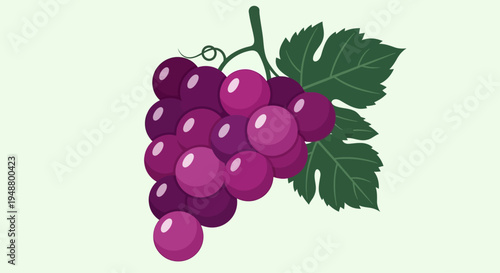 Fresh Ripe Purple Grapes Bunch with Green Leaves on Light Green Background