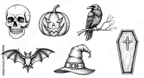 Halloween Elements Collection: Skull, Pumpkin, Bat, Raven, Witch Hat, Coffin