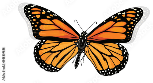 Monarch Butterfly Insect Flying Isolated White Background Illustration