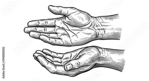Two open hands, one cupped, one flat, vintage illustration