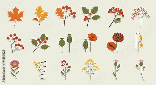 Autumnal botanical elements illustration isolated on neutral background design
