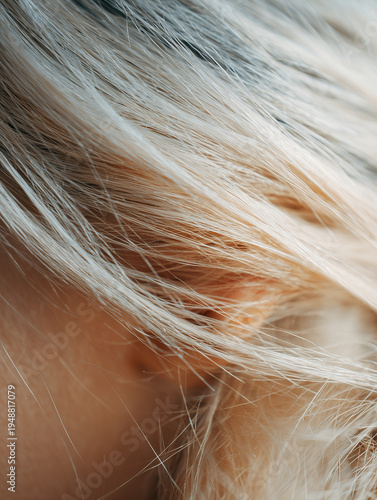 Close up of hair