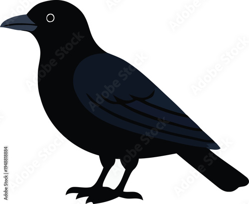 Vector black bird icon, silhouette crow or raven