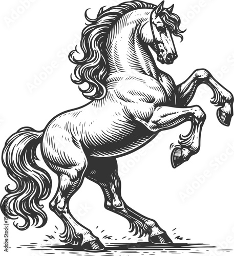 Rearing horse vintage engraving equine vector illustration