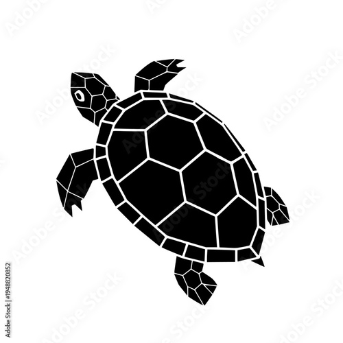 A cute turtle vector illustration playing with a black and white soccer ball isolated on a round sphere symbol representing a fun sports competition