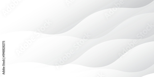 Abstract White and Gray Background with Soft Wavy Curves for Professional Corporate Business, Minimalist Web Header, Medical Healthcare Concept, and Modern Elegant Presentation Backdrop.