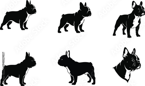 Black silhouettes of a dog in various positions and angles