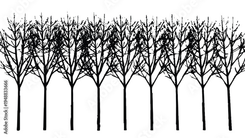 Abstract graphic representation of a repetitive leafless tree line in monochrome