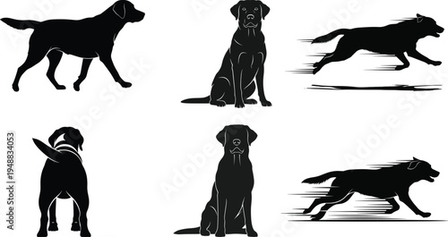 Collection of six black silhouettes of dogs in various poses and actions