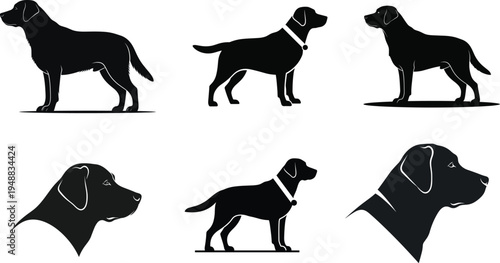 Black silhouettes of dogs in various poses and views