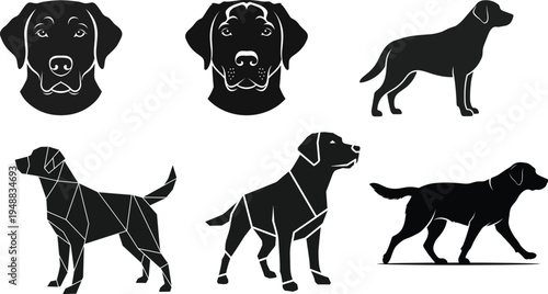 Black and white dog illustrations in various poses and perspectives