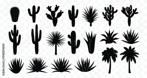Black silhouette of desert plants: cactus and agave on a white background