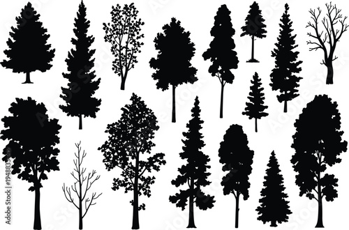 Collection of forest tree silhouettes, pine and deciduous timber spruce vector, set of black isolated plants