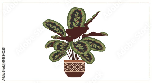 Potted Plant with Green Leaves.