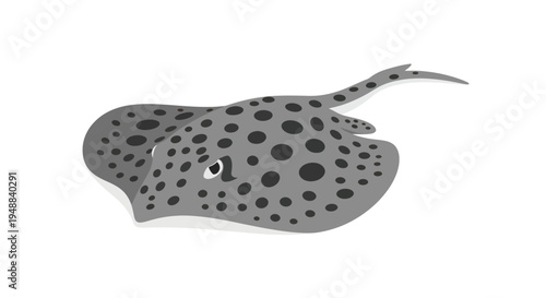 Spotted stingray fish swimming underwater.