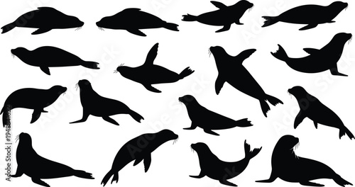 A collection of black silhouettes featuring various seals and sea lions in different active poses