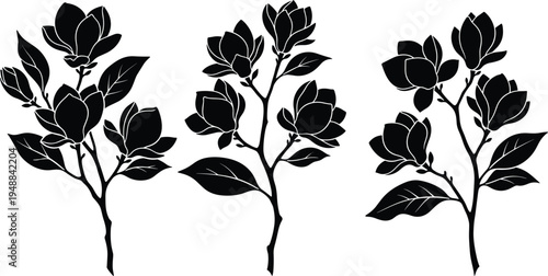A collection of three elegant magnolia flower branch illustrations in a minimalist black silhouette