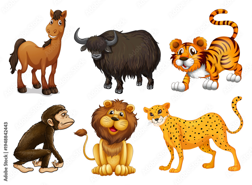 Obraz premium Different kinds of four-legged animals