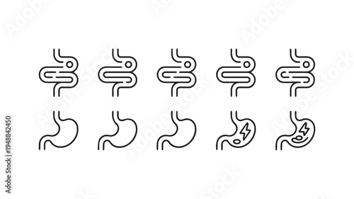 Digestive system icons representing stomach and intestinal health