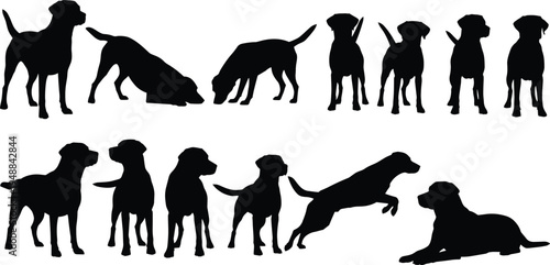 A collection of black dog silhouettes showing various poses and activities in a single graphic set
