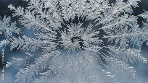 A delicate frost pattern resembling a flower or a tree branch is shown up close on a windowpane in winter.