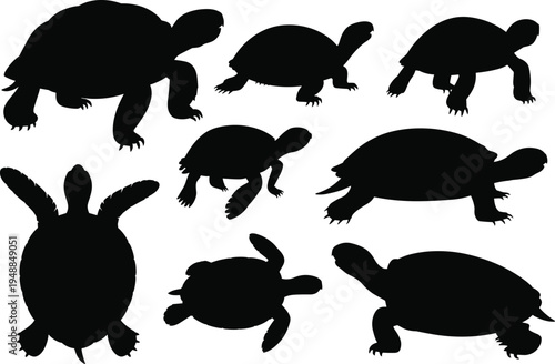 Turtle and tortoise silhouette collection with different reptile poses isolated on white background, wildlife animal set, sea turtle vector illustration