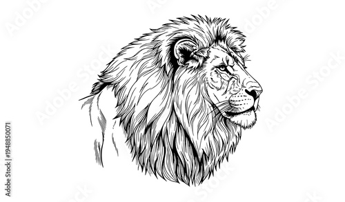 Strong lion head profile vector black and white wildlife illustration