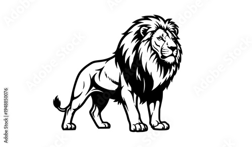 Black and white lion profile vector powerful wildlife animal illustration