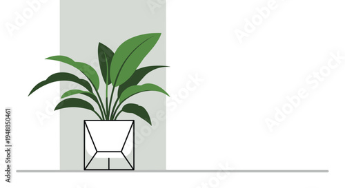 Modern green indoor houseplant growing in stylish white geometric pot placed against minimalist grey and white vertical background.