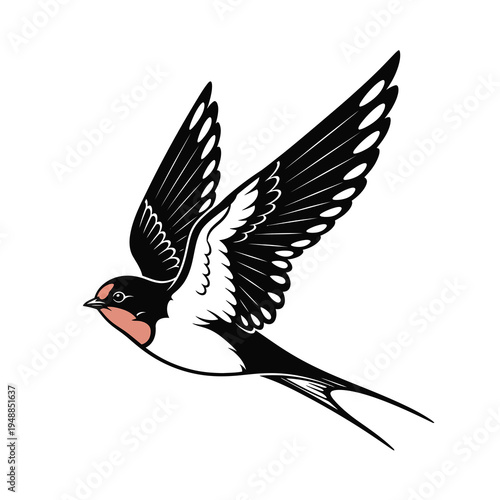 Vector of a flying swallow bird with wings and a light pink beak