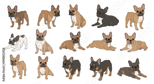 Large set of fifteen different French Bulldog dogs in various sitting and lying poses with different fur colors and patterns.