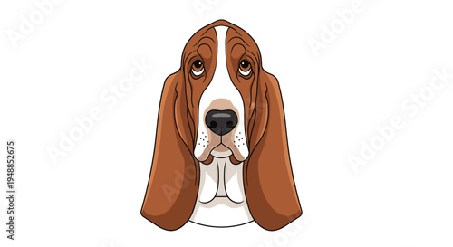 Portrait illustration of a basset hound dog head with long floppy ears and a sad expression against a plain white background.