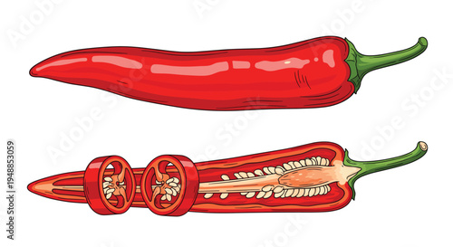Detailed illustration of a whole red chili pepper and a cross section showing the inner seeds and slices of the spice.