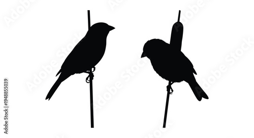 Two small birds perched on branches a striking black silhouette