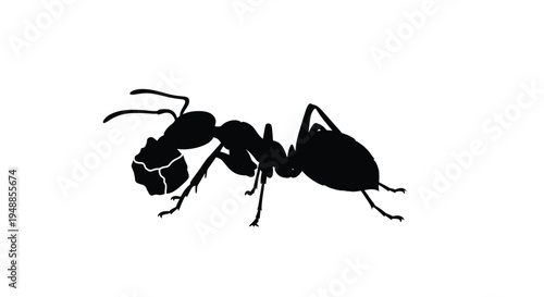 A black ant carrying a large object detailed profile silhouette