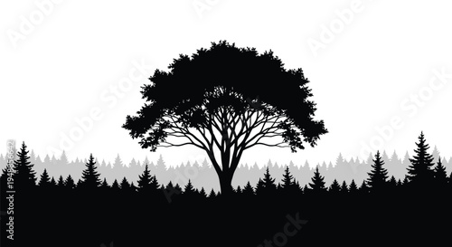 A solitary tree dominates a forest landscape presented as a silhouette