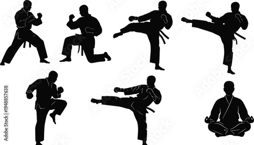 Martial arts karate fighter silhouette set performing kicks punches fighting stances and meditation pose isolated on white background combat training concept