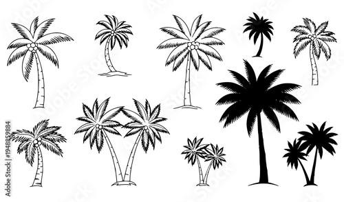 Tropical palm tree icons vector outline and silhouette island plant collection