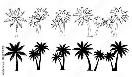 Palm tree icon set tropical silhouette and outline beach plant vector illustration